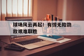 开云体育app-球场风云攻略最新