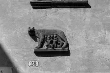 开云体育入口-比拉诺战平维罗纳，积分略显不足()