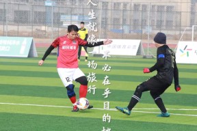 kaiyun app-强队风光不再，下轮比赛将面对何种挑战？()